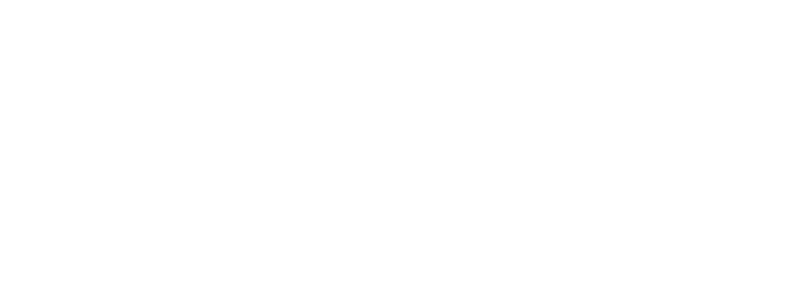 Holiday LIght Up