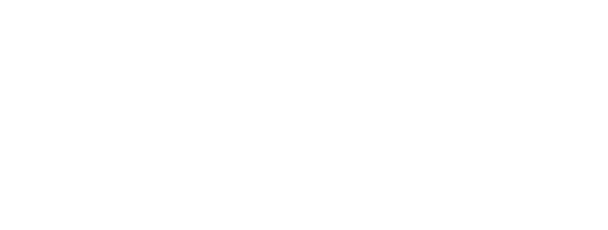 Holiday LIght Up